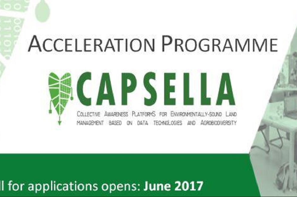 Capsella Acceleration Programme: Λύσεις για τον αγροδιατροφικό τομέα